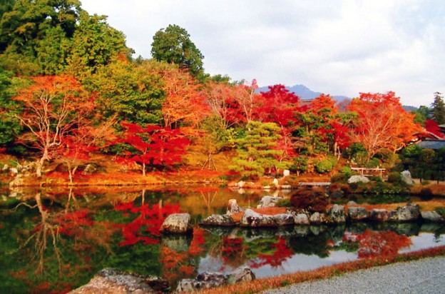 紅葉