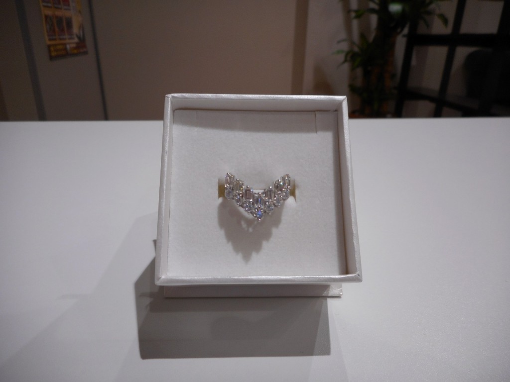 DSCN0306