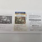 阪急阪神ホールディングス 株主優待回数乗車証 25回カード