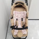 エアバギー ココ ベビーカー