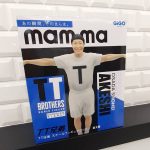 フィギュア TT兄弟